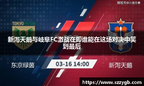 新泻天鹅与岐阜FC激战在即谁能在这场对决中笑到最后