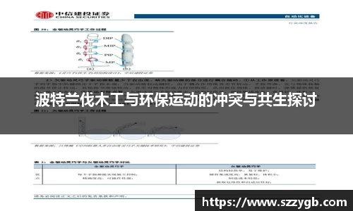 波特兰伐木工与环保运动的冲突与共生探讨